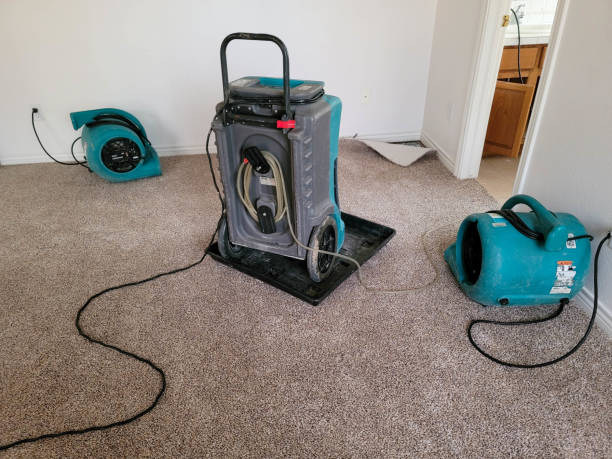 Best Mold removal after water damage  in Spring Lake Heights, NJ