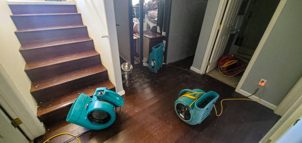 Best Fire Damage Restoration  in Spring Lake Heights, NJ