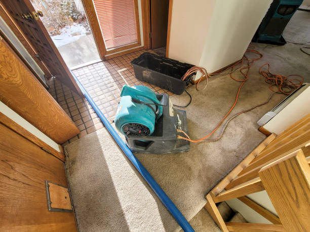 Best Carpet water damage restoration  in Spring Lake Heights, NJ