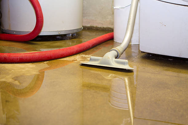 Best Residential water damage restoration  in Spring Lake Heights, NJ
