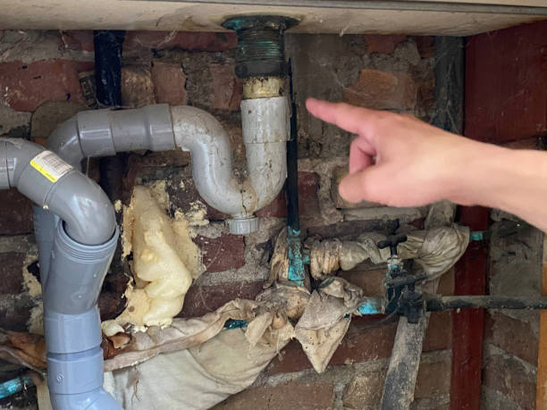 Best 24/7 water damage repair  in Spring Lake Heights, NJ