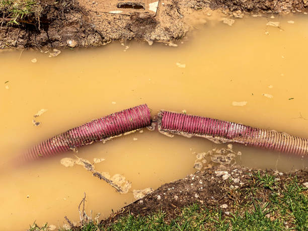 Water damage restoration process in Spring Lake Heights, NJ