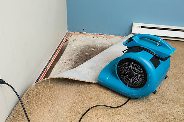 Best Basement water damage restoration  in Spring Lake Heights, NJ